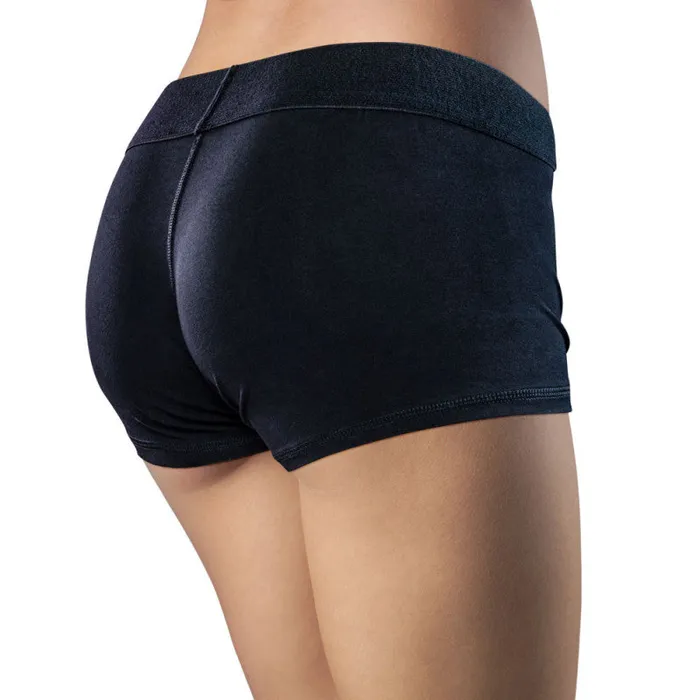 Blush Novelties Anal | Temptasia - Harness Briefs - Small - Black Blush Novelties Anal | Temptasia - Harness Briefs - Small - Black