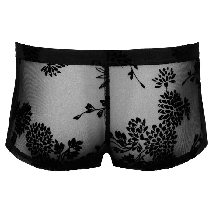 Noir Sheer Floral Lace Pants | Noir Hosiery Noir Sheer Floral Lace Pants | Noir Hosiery