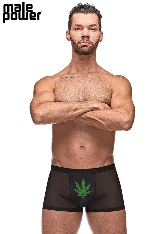 Private Screening Pot Leaf Pouch Short Black Male Power Anal