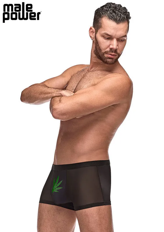 Private Screening Pot Leaf Pouch Short Black | Male Power Anal Private Screening Pot Leaf Pouch Short Black | Male Power Anal